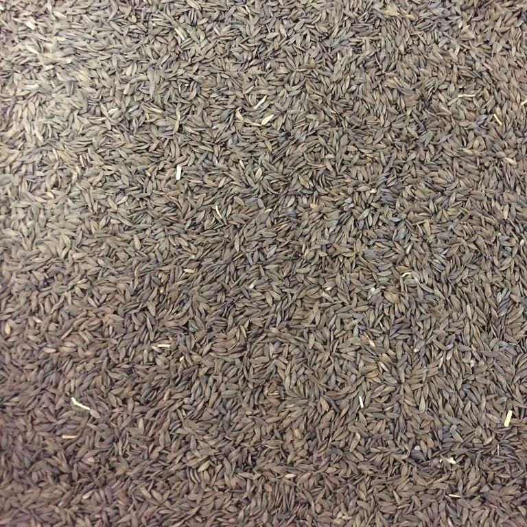 Semillas De Lechuga, Simpson (100% Heirloom/No Híbrido/No GMO). 130 Semillas Aproximadamente. - Image 2