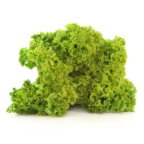 Semillas De Lechuga, Tango (100% Heirloom/No Híbrido/No GMO). 150 Semillas Aproximadamente. - Image 3
