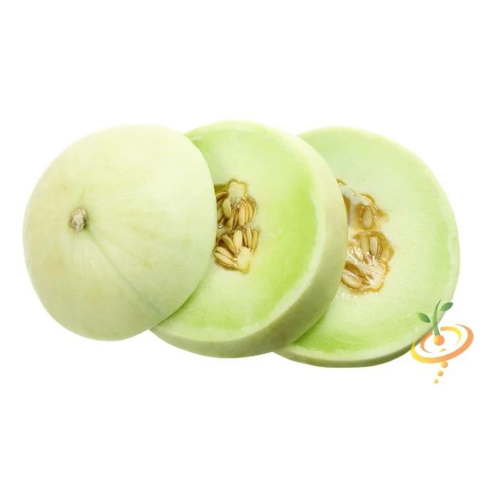 Semillas De Melon, Pulpa Verde (100% Heirloom/No Híbrido/No GMO). 10 Semillas Aproximadamente. - Image 2
