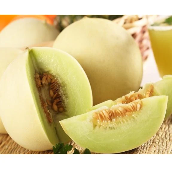 Semillas De Melon, Pulpa Verde (100% Heirloom/No Híbrido/No GMO). 10 Semillas Aproximadamente. - Image 3