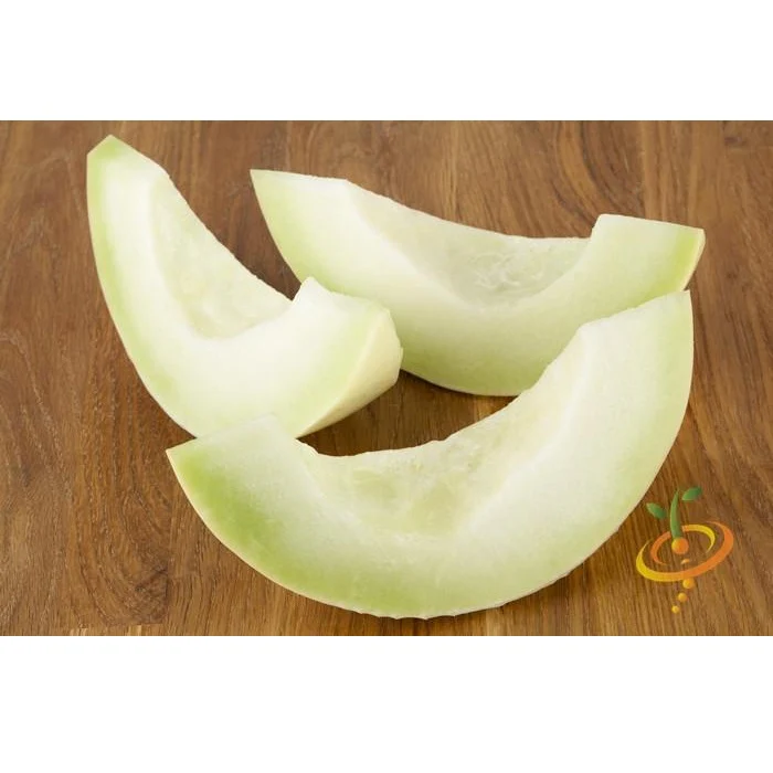 Semillas De Melon, Pulpa Verde (100% Heirloom/No Híbrido/No GMO). 10 Semillas Aproximadamente. - Image 4