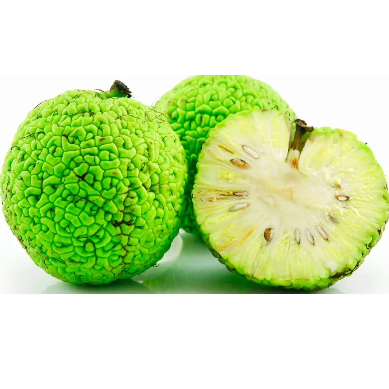 Semillas De Osage Orange - Image 7