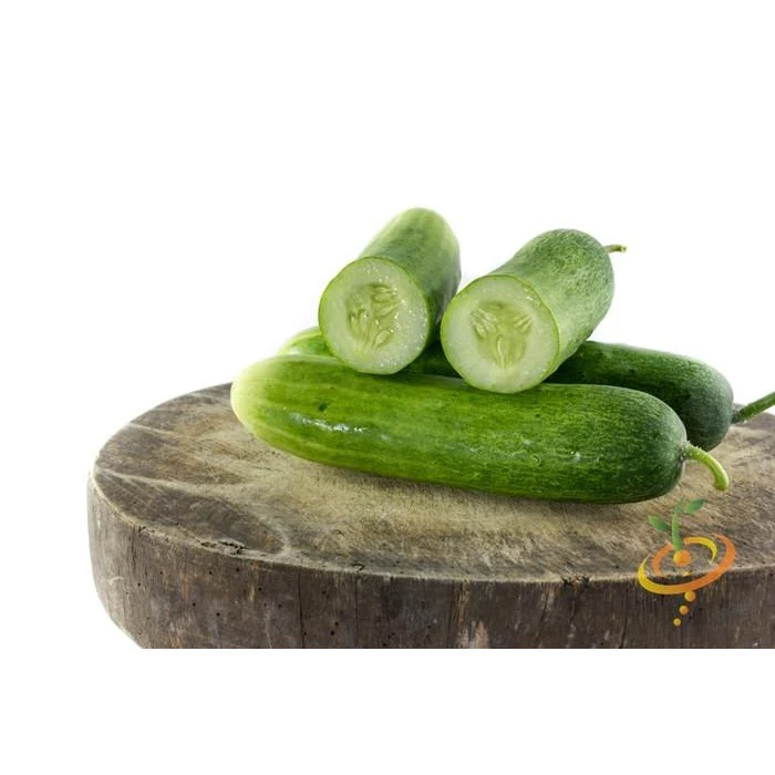 Semillas De Pepino (100% Heirloom/No Híbrido/No GMO). 120 Semillas Aproximadamente. - Image 2