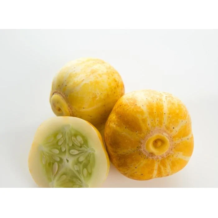 Semillas De Pepino Limón (100% Heirloom/No Híbrido/No GMO). 10 Semillas Aproximadamente. - Image 3
