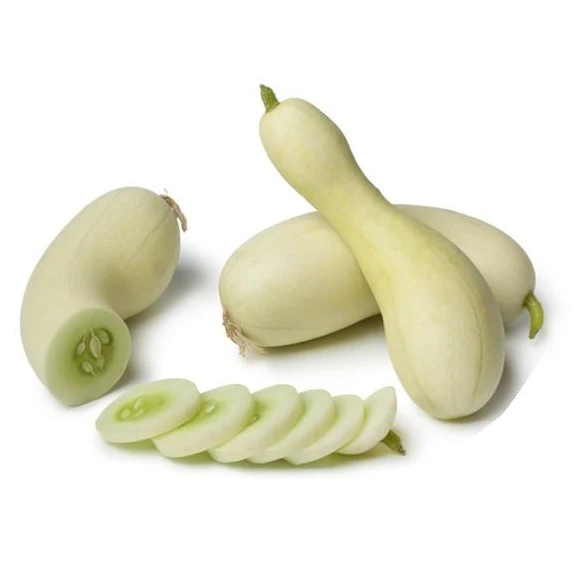 Semillas De Pepino, Maravilla Blanca (100% Heirloom/No Híbrido/No GMO). 10 Semillas Aproximadamente. - Image 3
