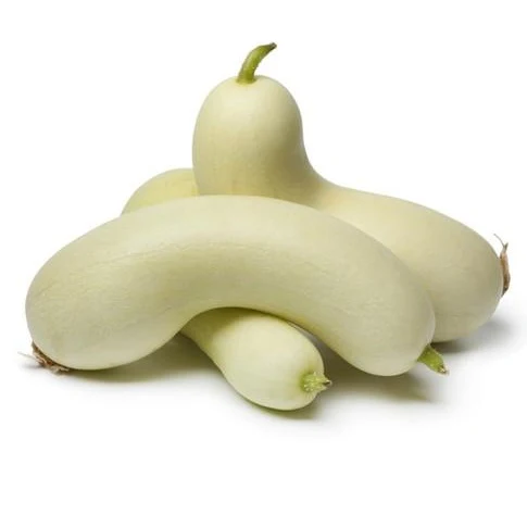 Semillas De Pepino, Maravilla Blanca (100% Heirloom/No Híbrido/No GMO). 10 Semillas Aproximadamente. - Image 4