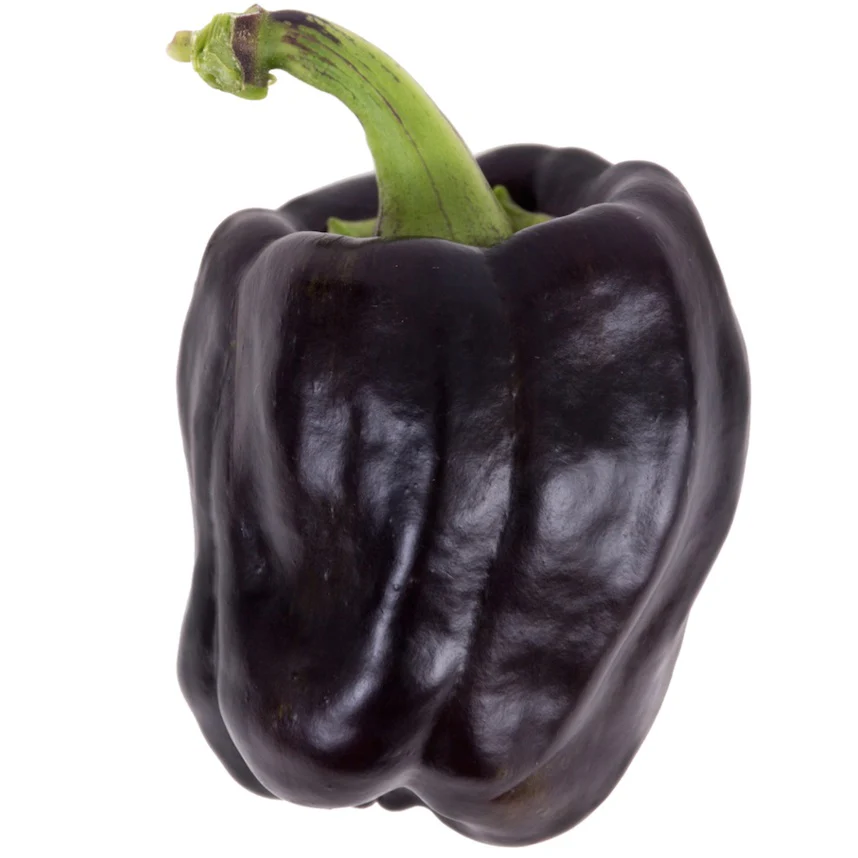 Semillas De Pimenton Dulce, Color Marron (100% Heirloom/No Híbrido/No GMO). 10 Semillas Aprox. - Image 3