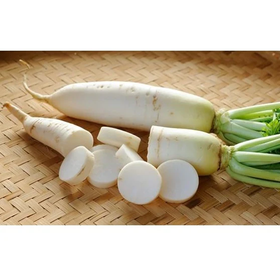 Semillas De Rabano, Daikon / Minowase Japonés (100% Heirloom/No Híbrido/No GMO). 120 Semillas Aprox. - Image 4