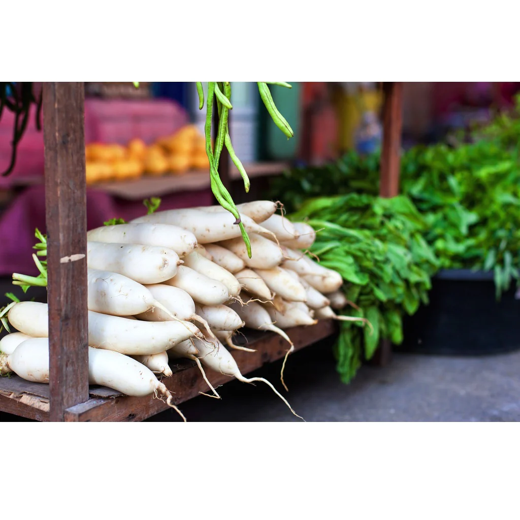 Semillas De Rabano, Daikon / Minowase Japonés (100% Heirloom/No Híbrido/No GMO). 120 Semillas Aprox. - Image 6