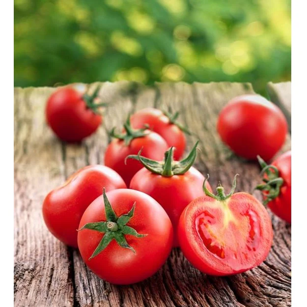 Semillas De Tomate, Ace 55 (100% Heirloom/No Híbrido/No GMO). 15 Semillas Aproximadamente - Image 6