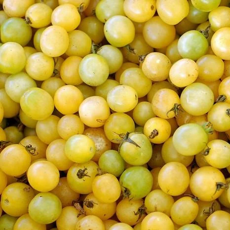 Semillas De Tomate Cherry Blanco (100% Heirloom/No Híbrido/No GMO). 15 Semillas Aproximadamente - Image 3