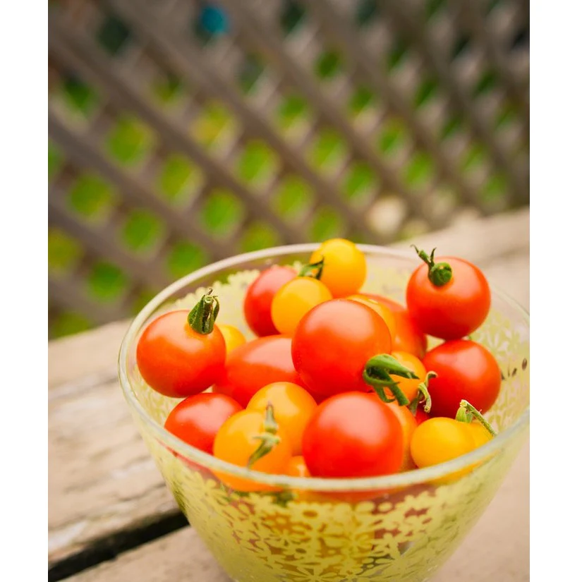 Semillas De Tomate Cherry Rojo Pequeño (100% Heirloom/No Híbrido/No GMO). 15 Semillas Aprox. - Image 6