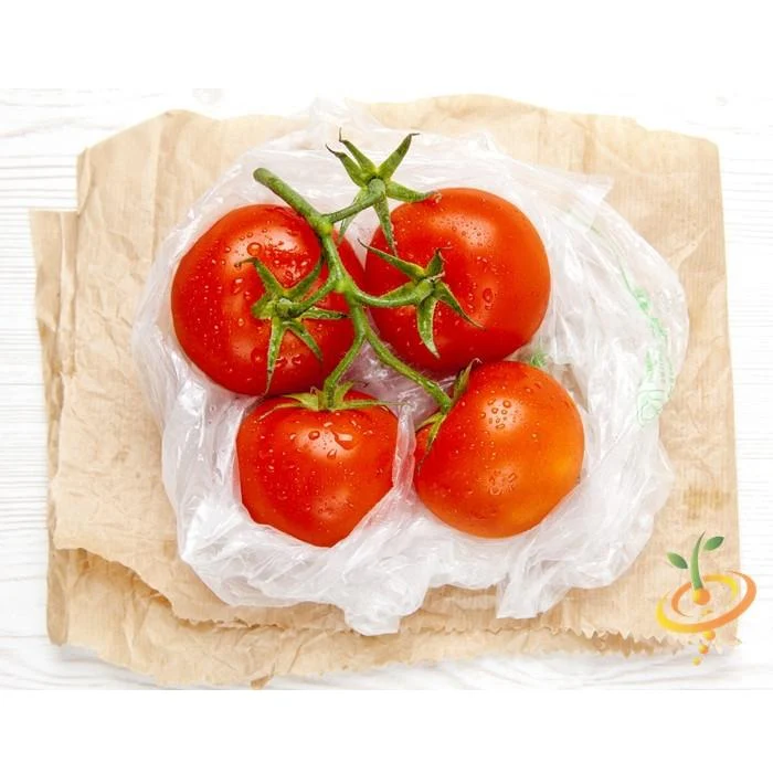 Semillas De Tomate, Money Maker (100% Heirloom/No Híbrido/No GMO). 15 Semillas Aproximadamente - Image 6