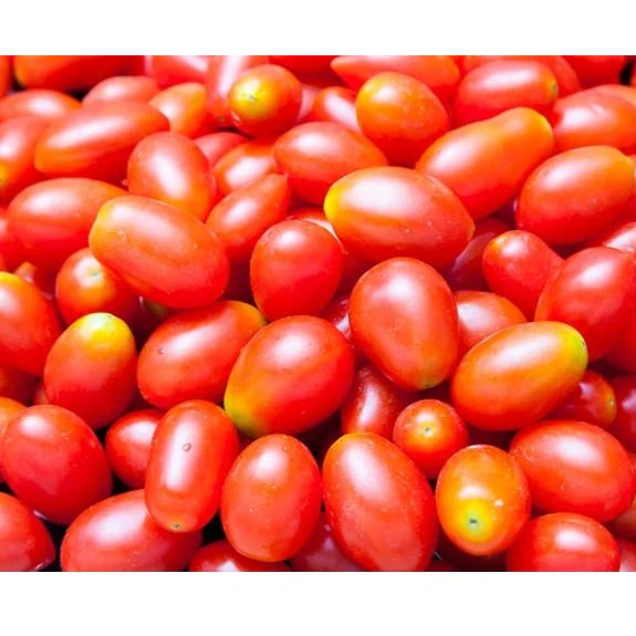 Semillas De Tomate Pera (100% Heirloom / No Híbrido / No GMO). 20 Semillas Aproximadamente - Image 3