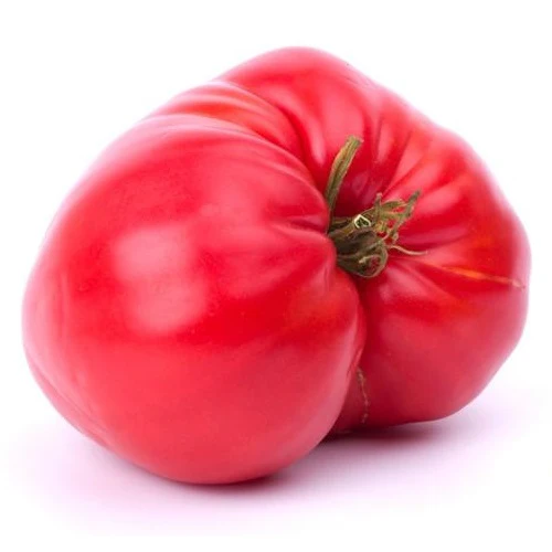 Semillas De Tomate, Pink Beefsteak (100% Heirloom/No Híbrido/No GMO). 50 Semillas Aproximadamente - Image 4