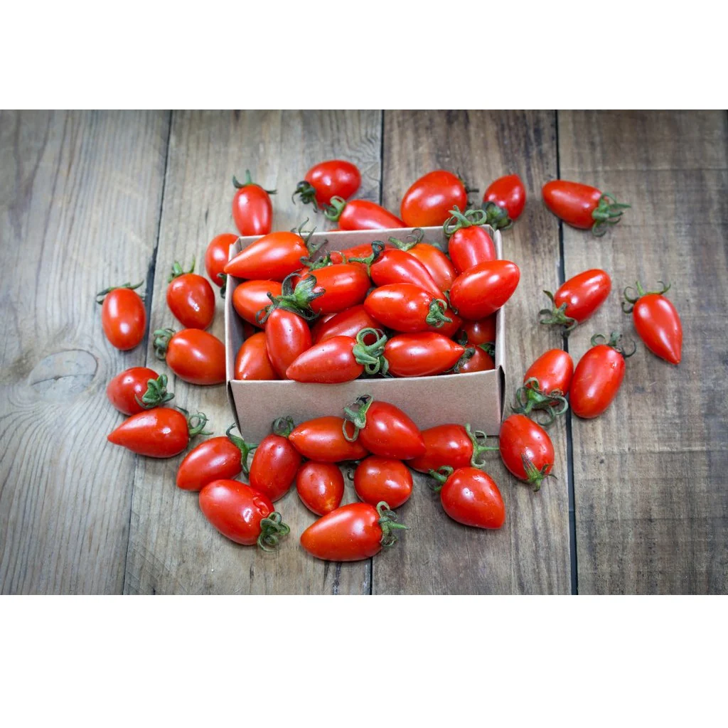 Semillas De Tomate, San Marzano. 15 Semillas Aproximadamente. - Image 2