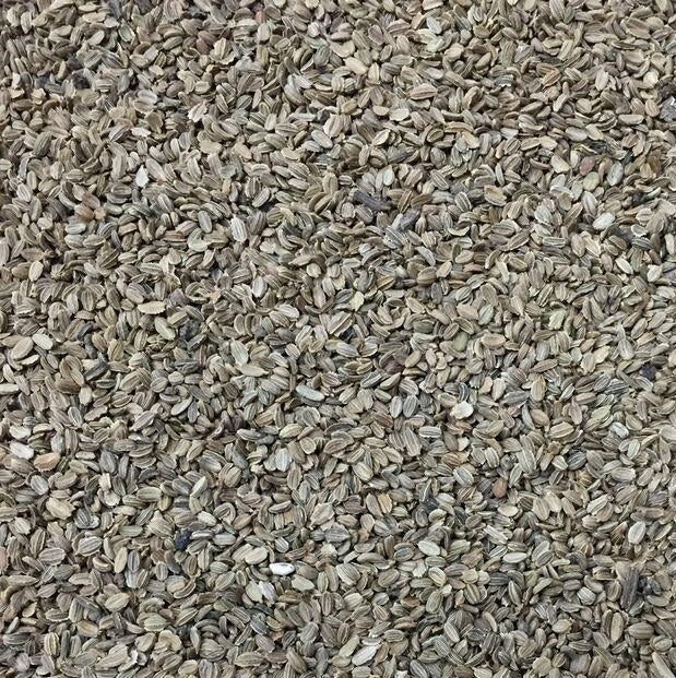 Semillas De Zanahoria, Chantenay (100% Heirloom/No Híbrido/No GMO). 120 Semillas Aproximadamente. - Image 2