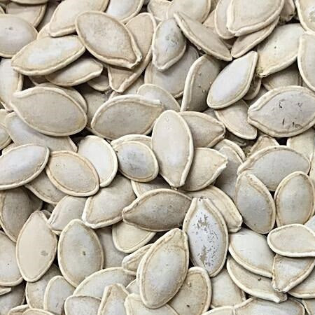 Semillas De Zapallo, Cocozelle (100% Heirloom/No Híbrido/No GMO). 10 Semillas Aproximadamente - Image 2