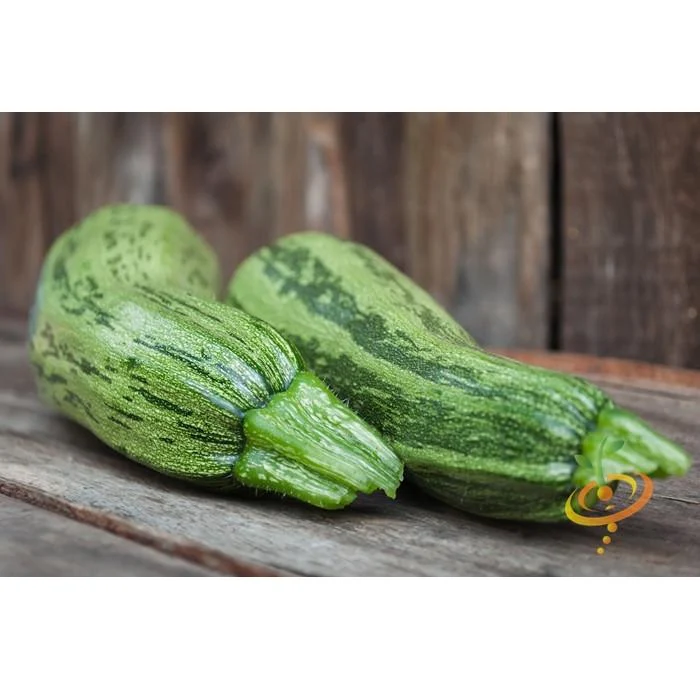 Semillas De Zapallo, Cocozelle (100% Heirloom/No Híbrido/No GMO). 10 Semillas Aproximadamente - Image 3