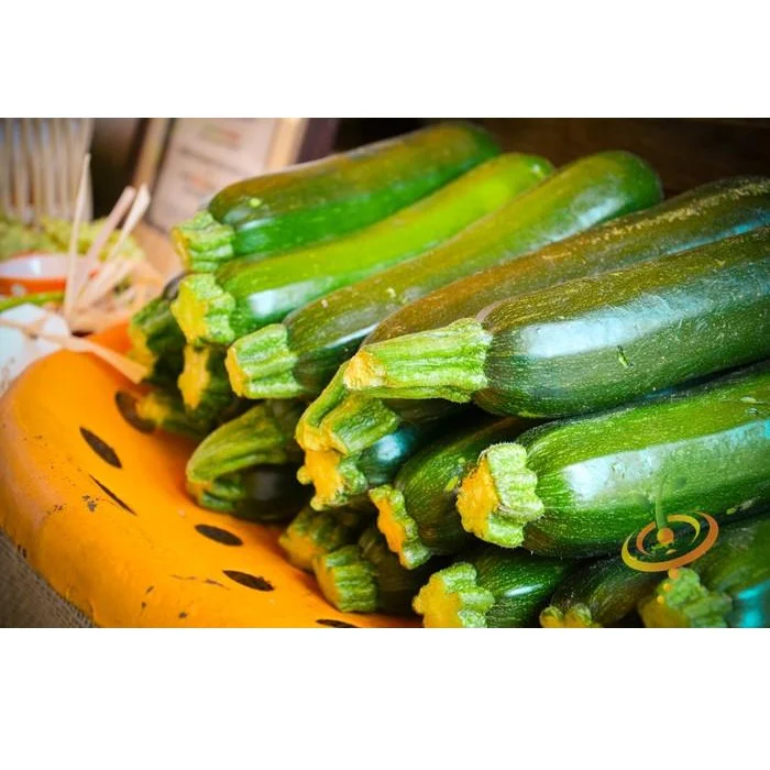 Semillas De Zucchini (100% Heirloom/No Híbrido/No GMO). 10 Semillas Aproximadamente. - Image 3