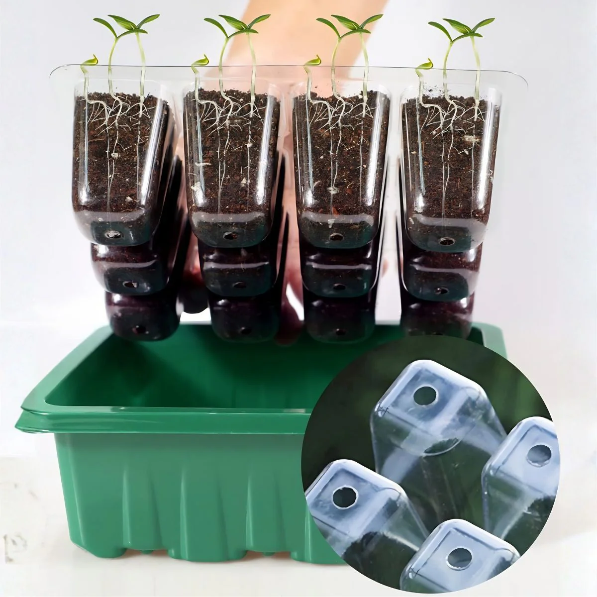 Semillero Germinador Con Luz LED USB 12 Celdas (5 Bandejas). Con Cúpula De Humedad Invernadero Portátil Para Huerto Casero Y Vivero. Color Verde - Image 3