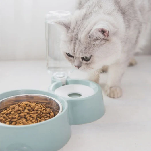 Tazón Doble De Agua Y Alimento Para Mascotas Con Base Y Soporte De Plastico. Color Gris - Image 3