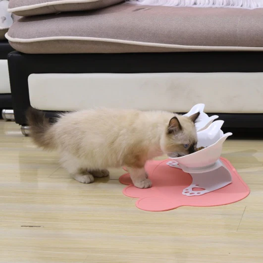 Tazón Doble Para Gatos Con Soporte. Plástico Transparente Y Soporte Blanco. - Image 3