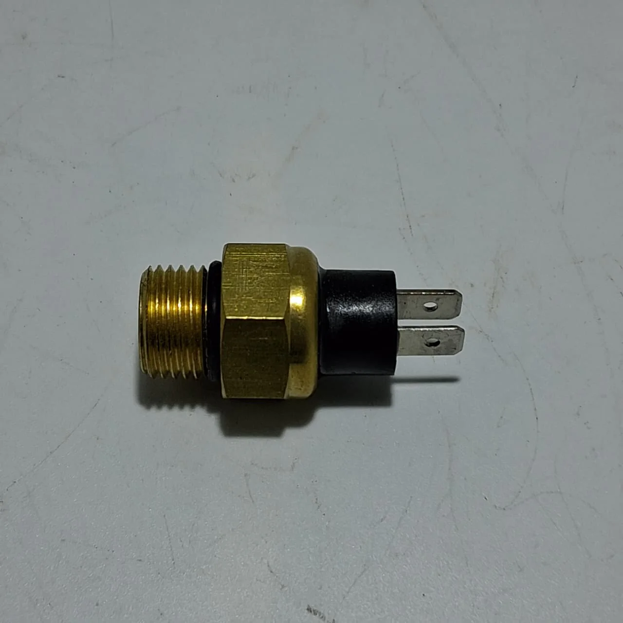 Termostato (ZAFFERANO250)