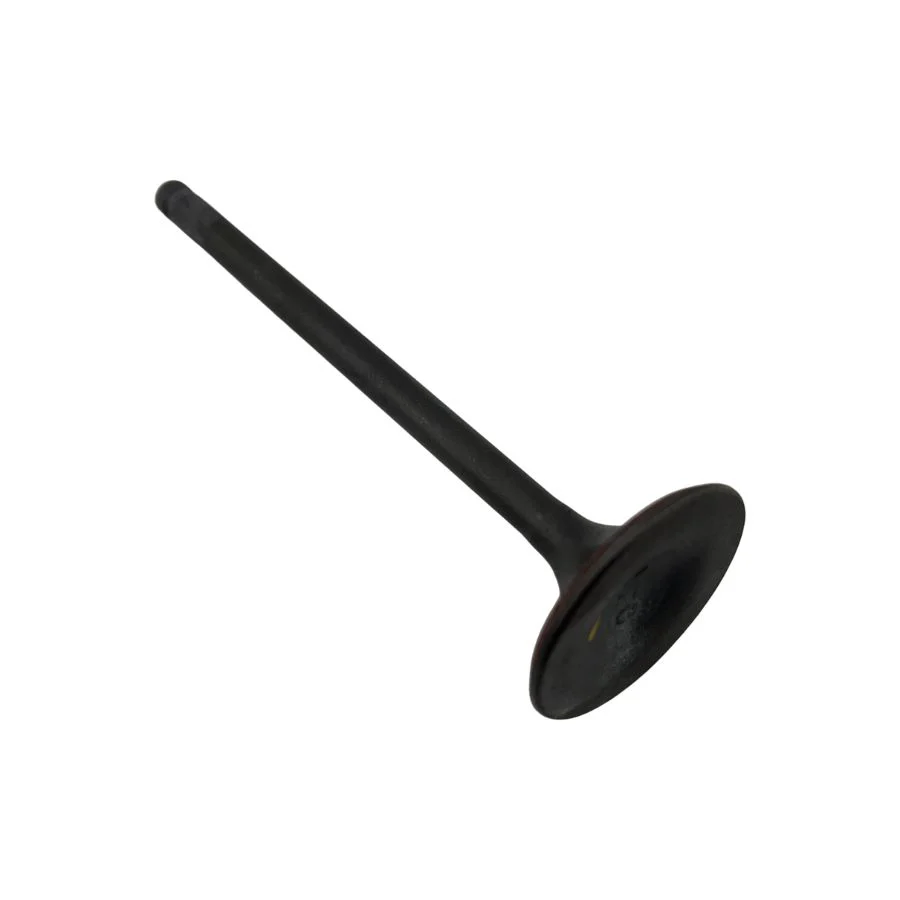 Valvula De Admision (RKG150)